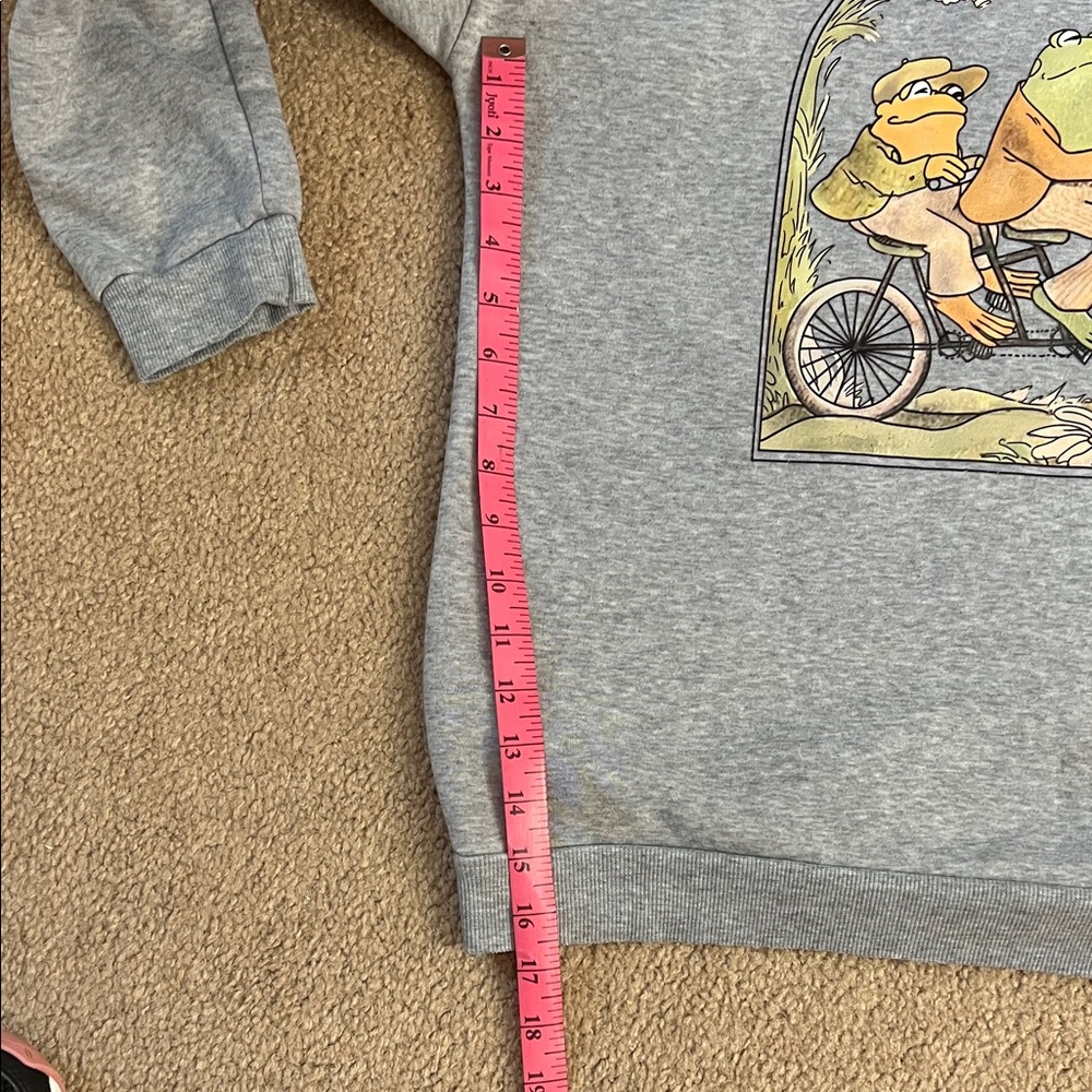 Gray Frog Graphic Womens Sweatshirt size large - Picture 5 of 6